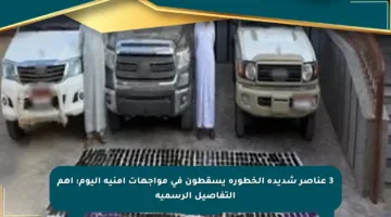 3 عناصر شديدة الخطورة يسقطون في مواجهات أمنية اليوم: أهم التفاصيل الرسمية